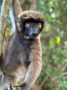 7afb71a2-60e8-40a7-95a5-2db34cf9553c