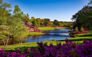 bellingrath-gardens-alabama-landscape-scenic-158063